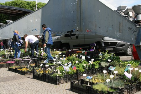 Lista miniaturek